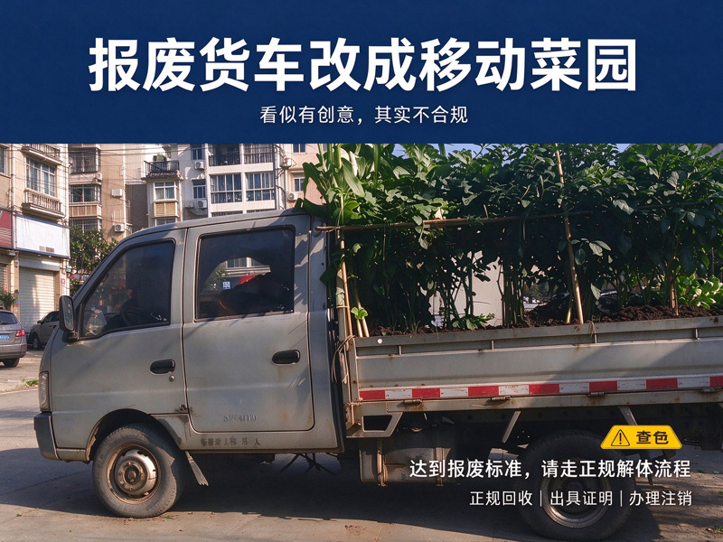 报废货车改成“移动菜园”，图个新鲜还是留了隐患？报废车辆必须走正规解体流程